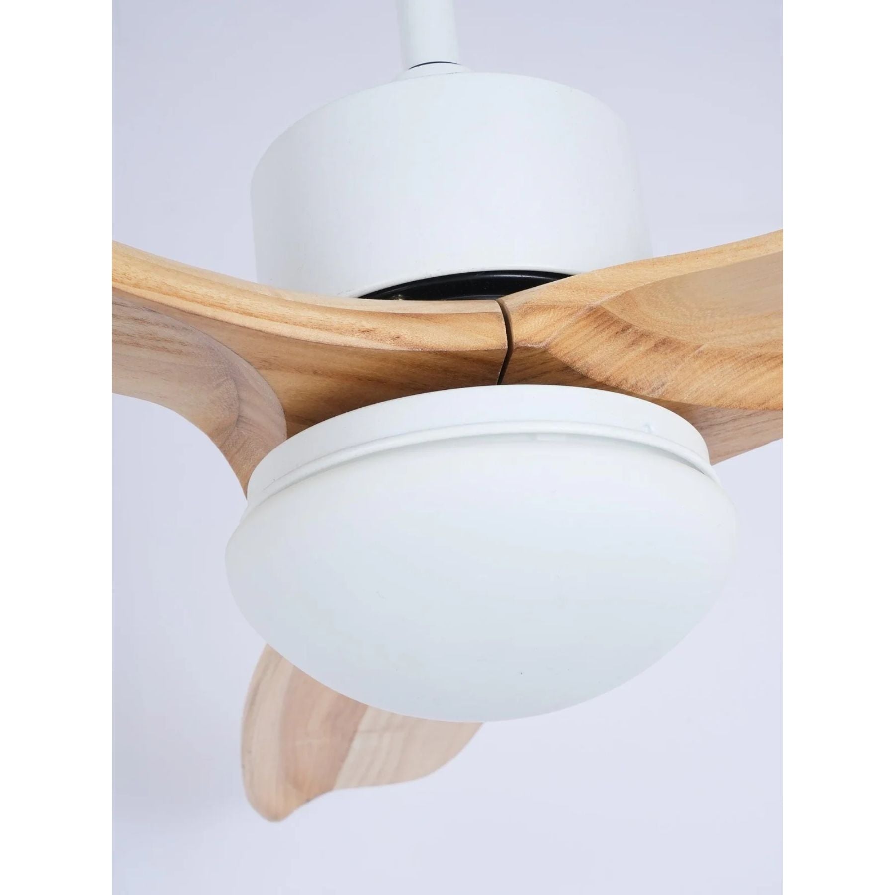 Barhoug LED Ceiling Fan