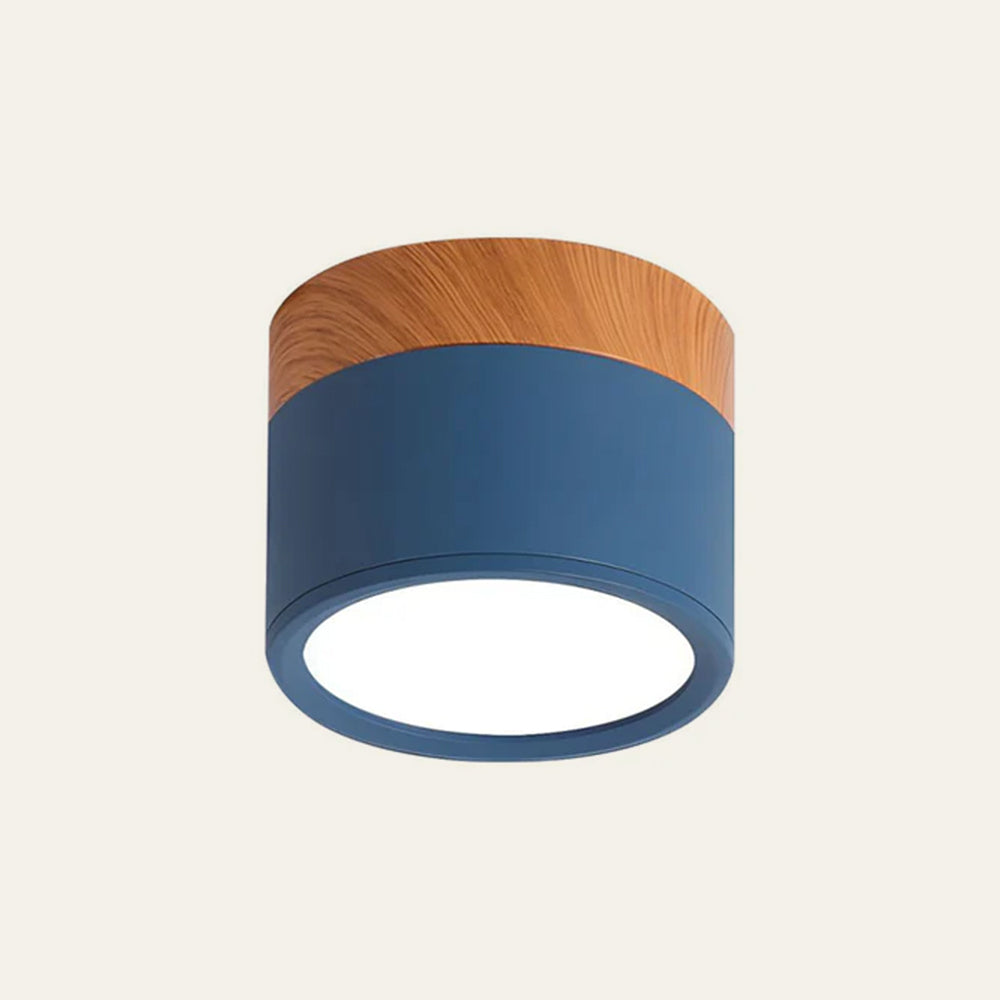 Cylinder Small Ceiling Light