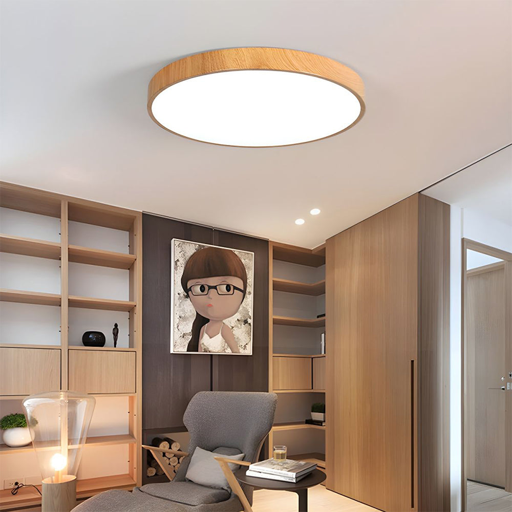 Concize Disc Ceiling Light