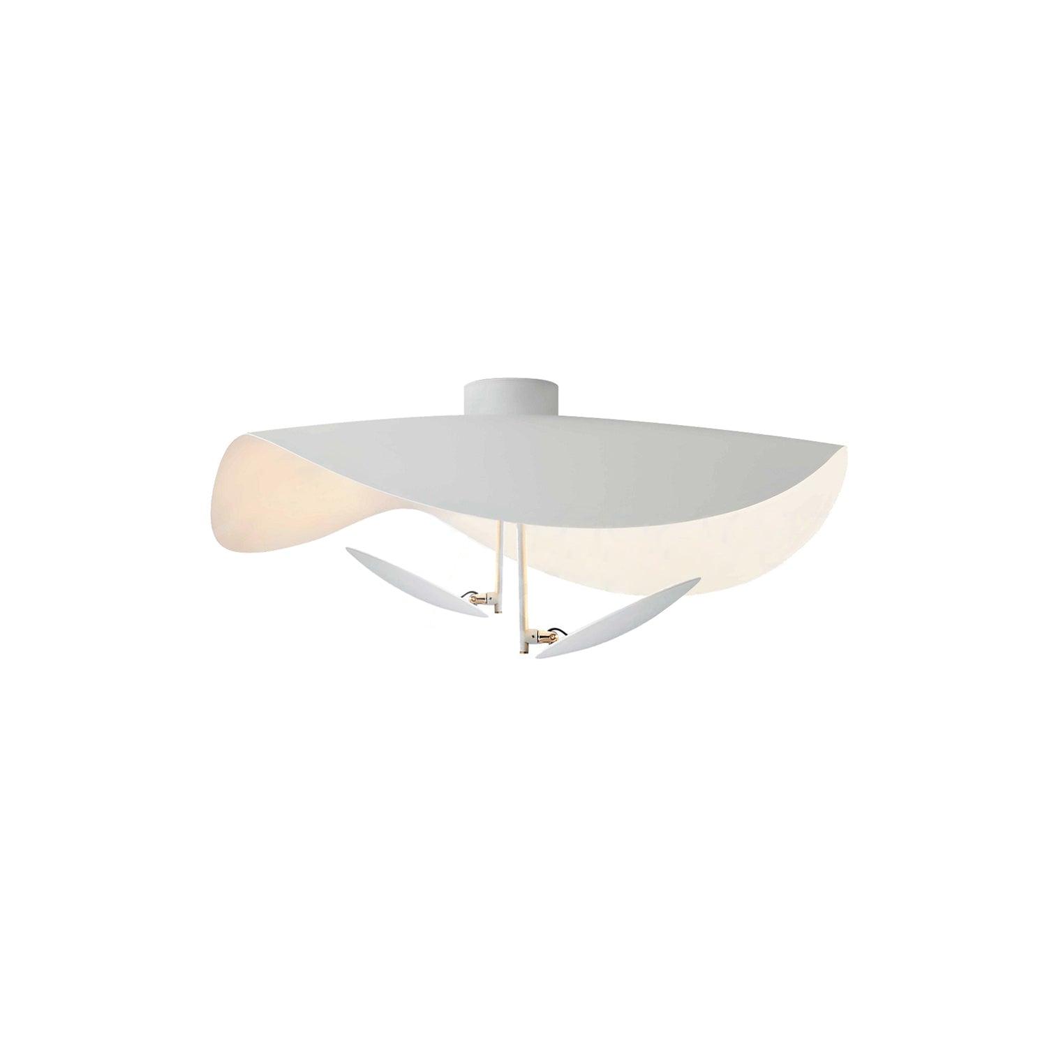 Georgoa Ceiling Light
