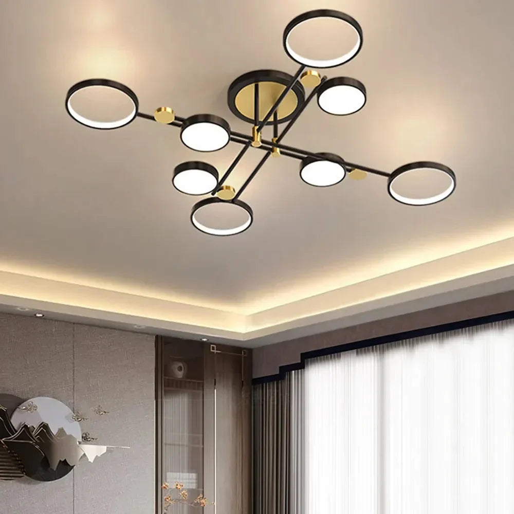 Selyz Ring Design Ceiling Light