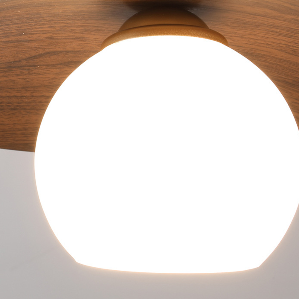 Entaro Ceiling Light