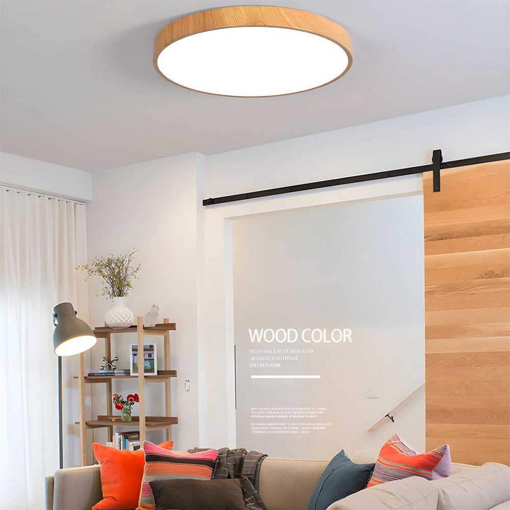 Concize Disc Ceiling Light