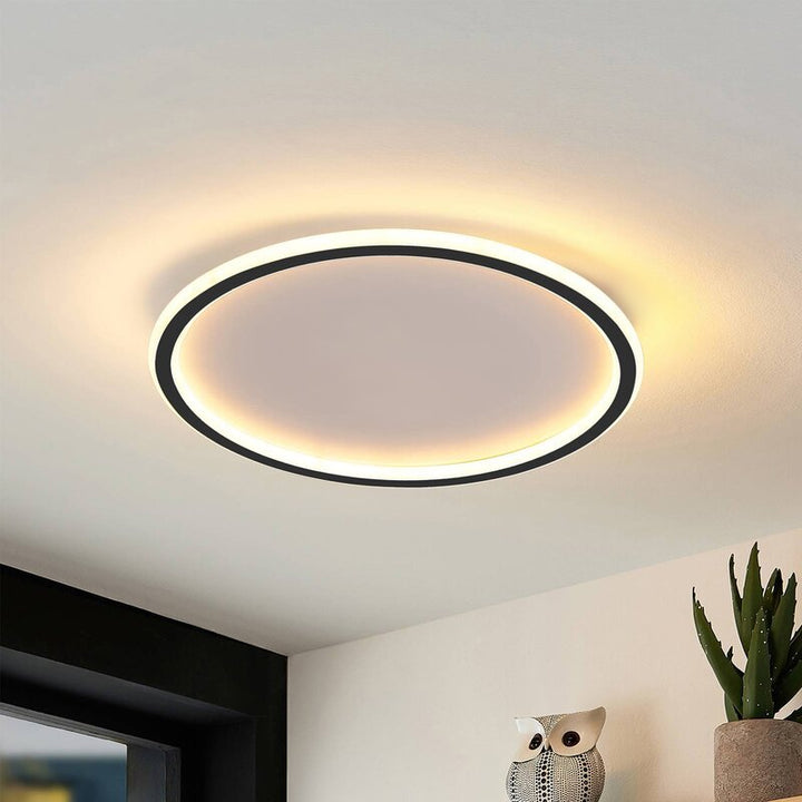 Circull Ceiling Light