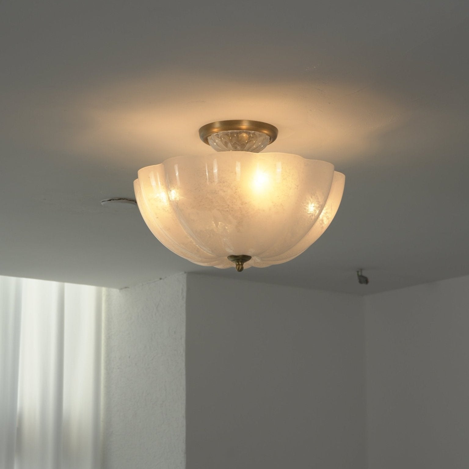 Romisel Ceiling Light