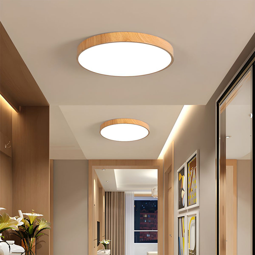 Concize Disc Ceiling Light