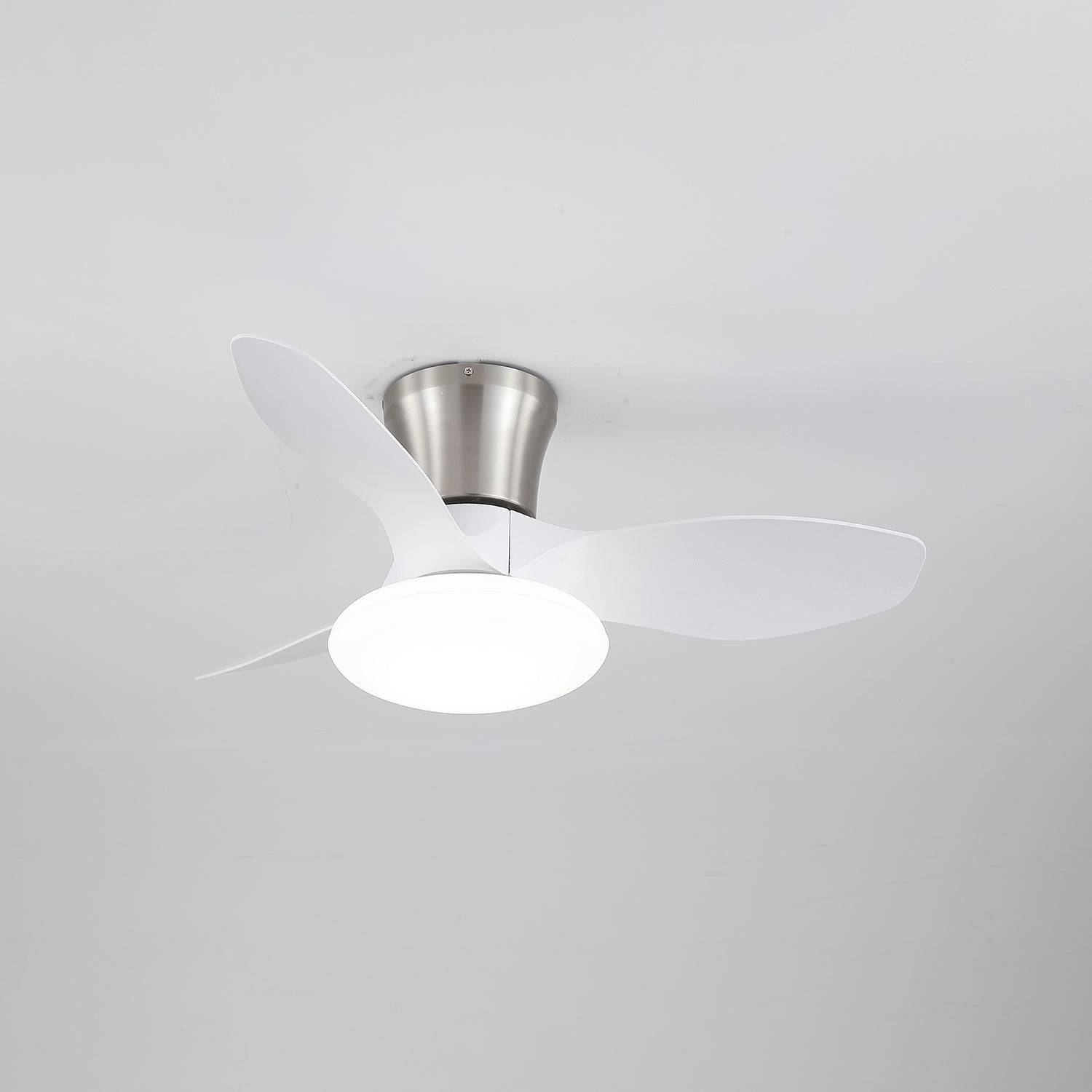 Jomer Ceiling Fan