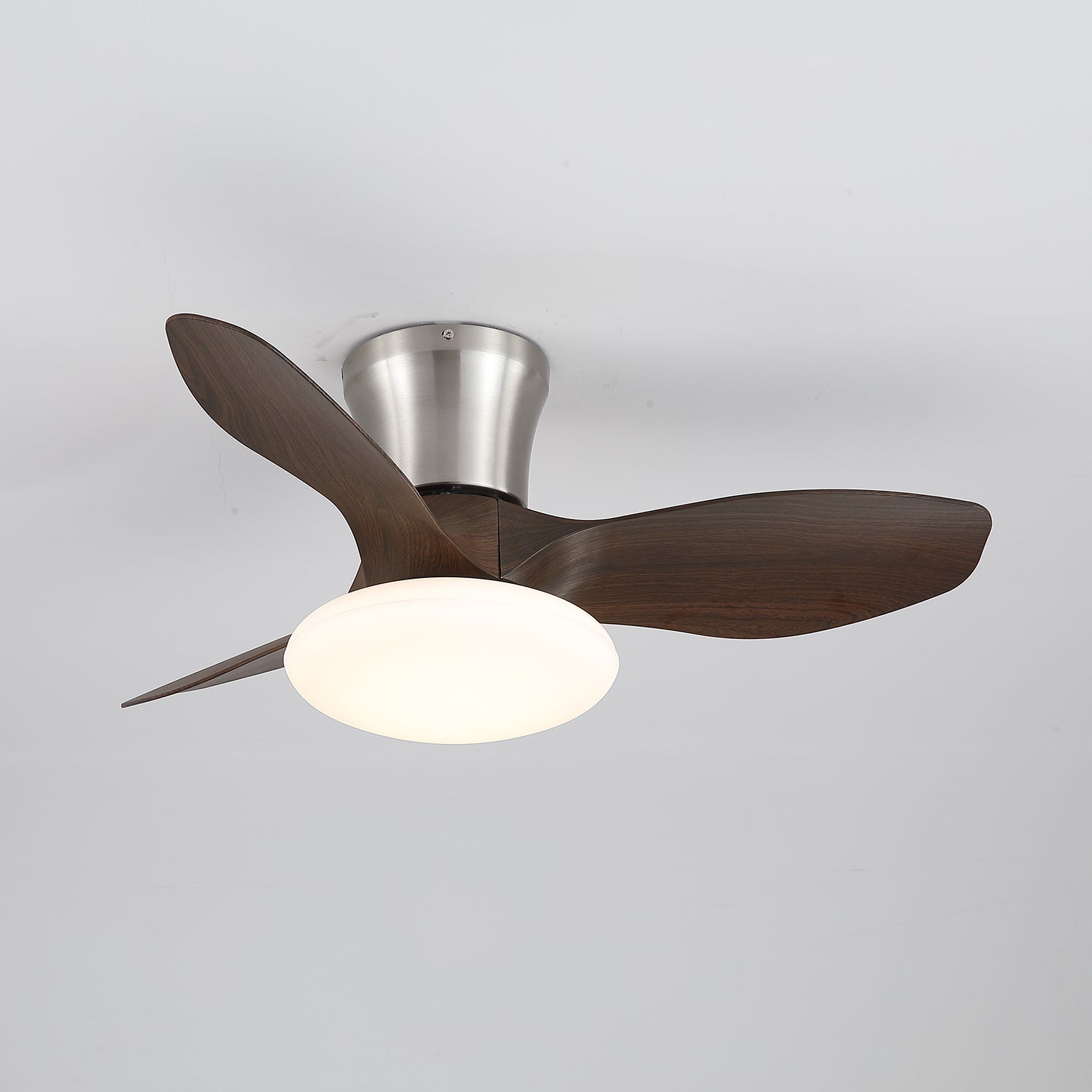 Jomer Ceiling Fan