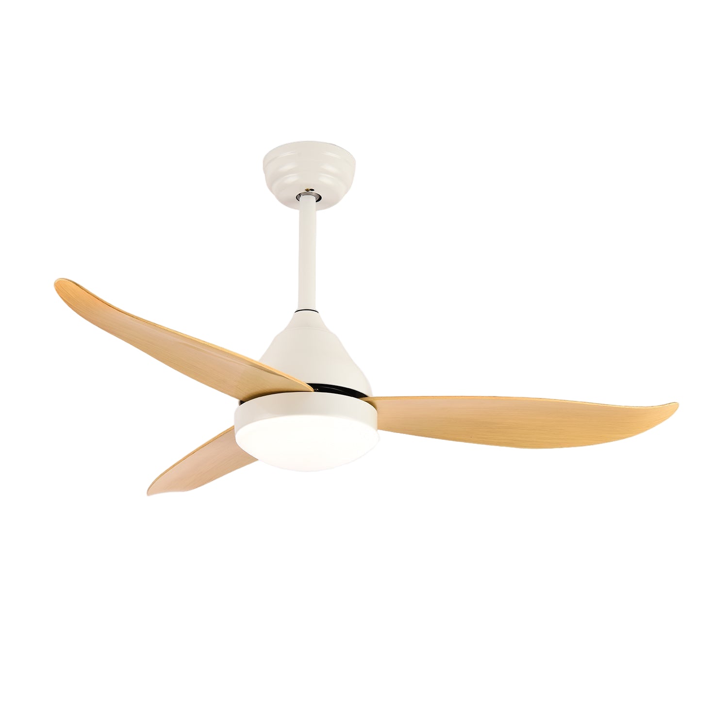 Learino Ceiling Fan