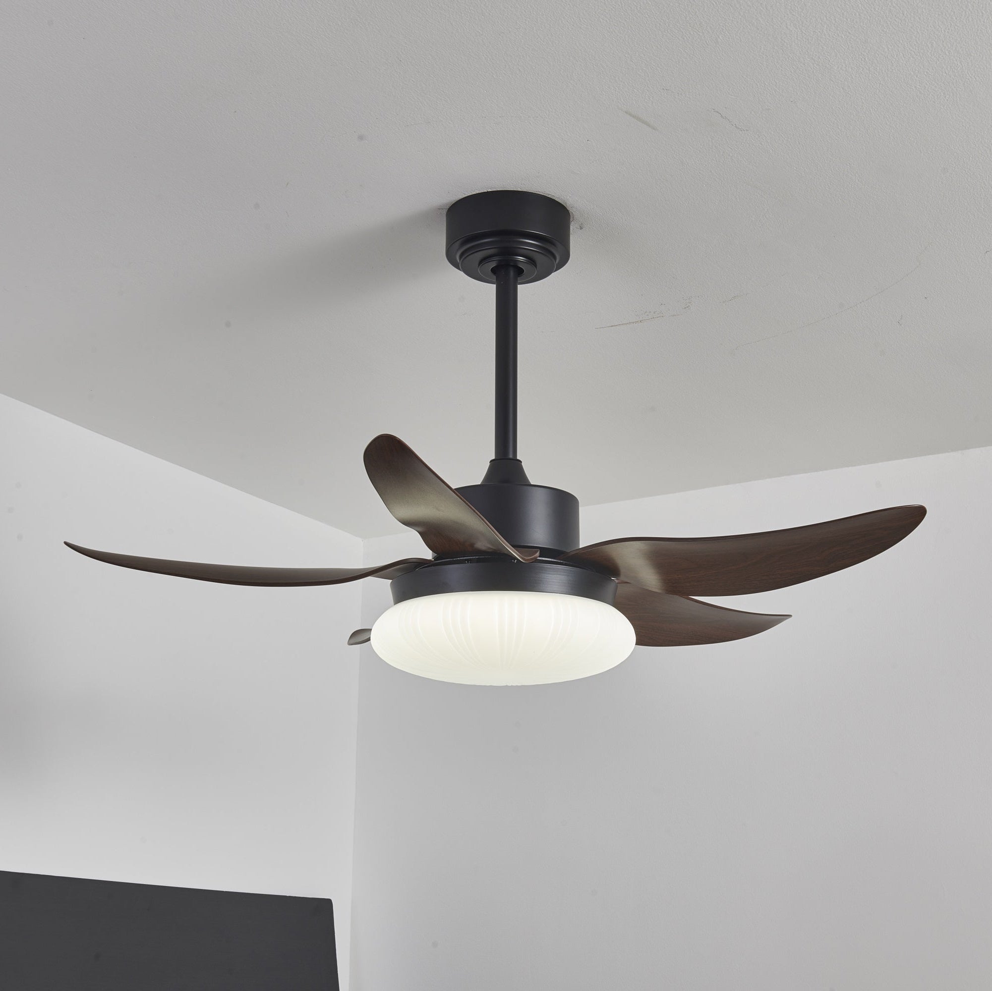 Amely LED Ceiling Fan