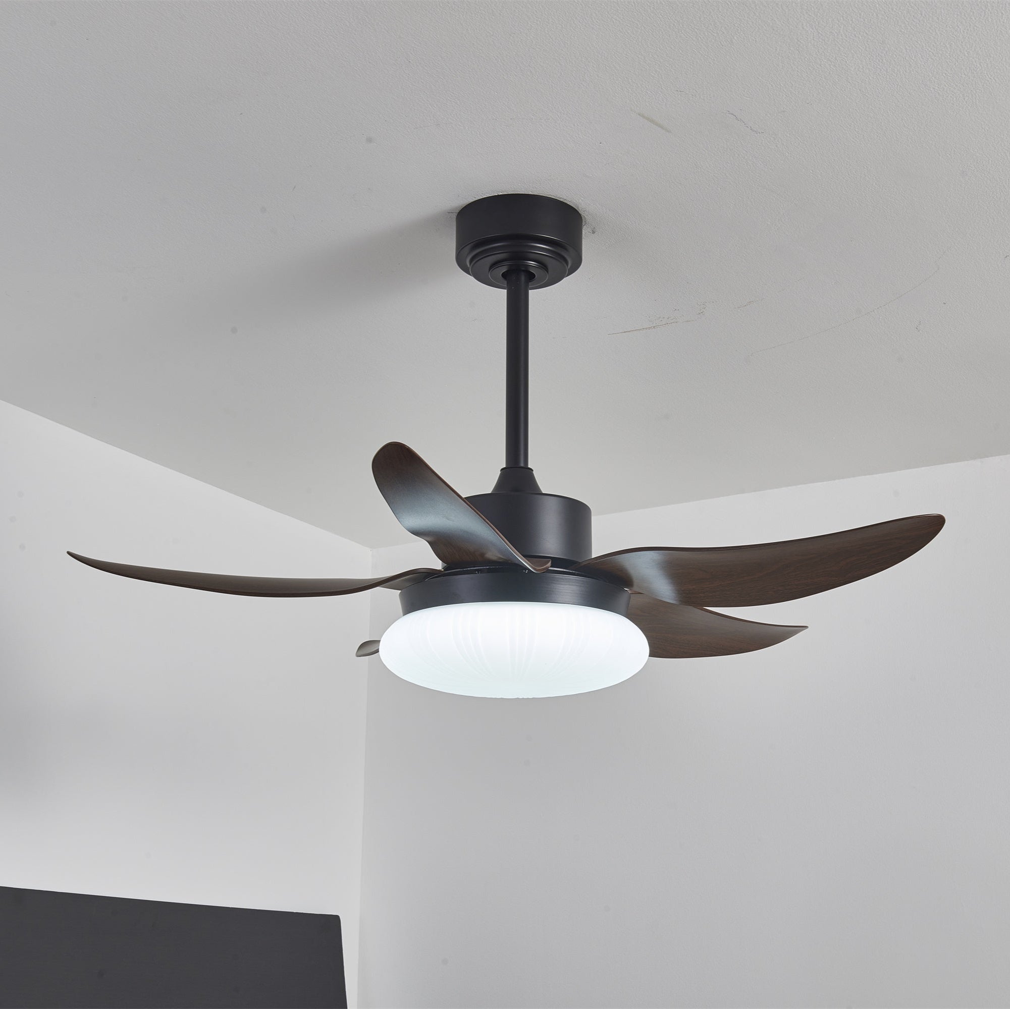 Amely LED Ceiling Fan
