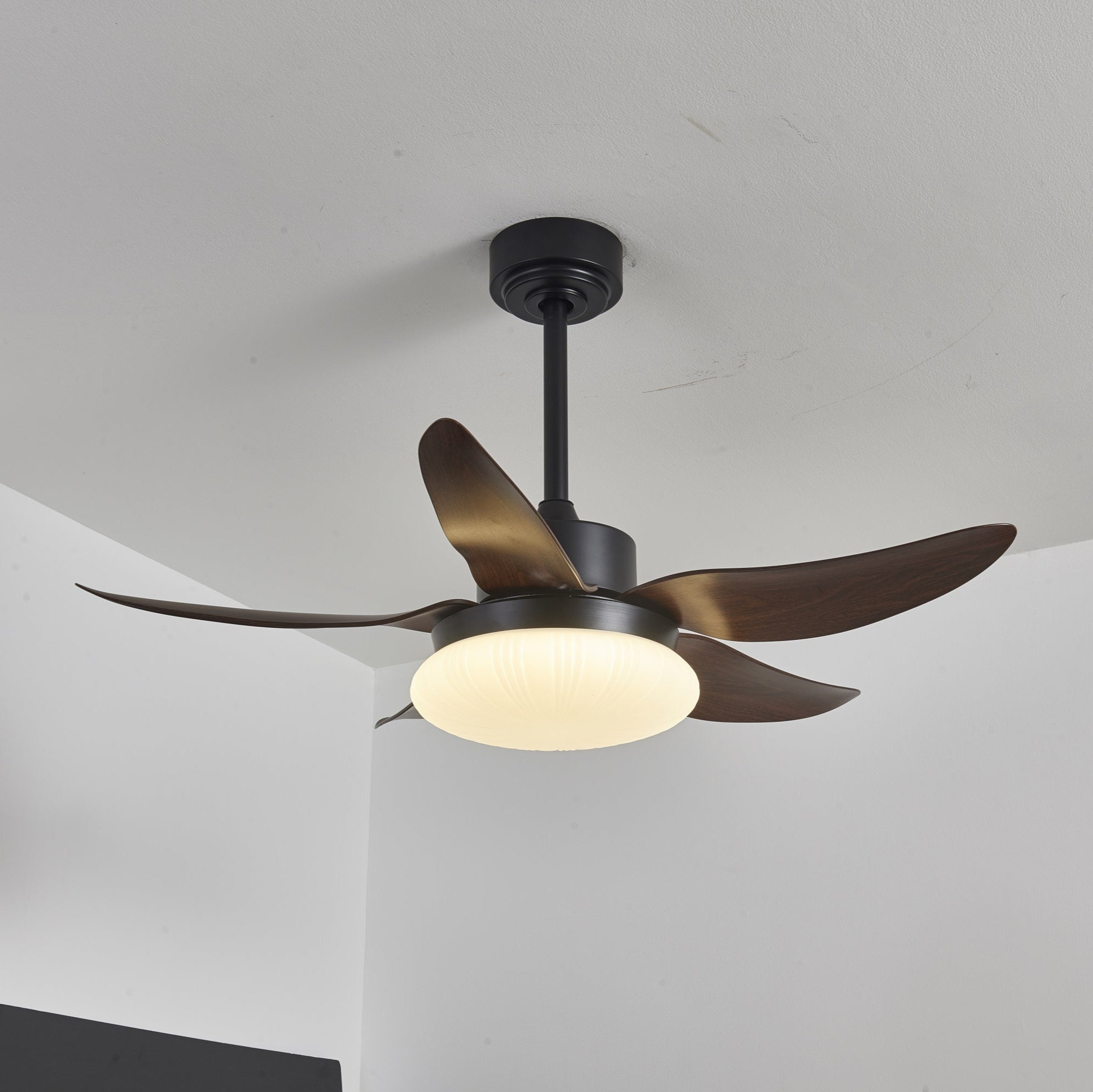 Amely LED Ceiling Fan