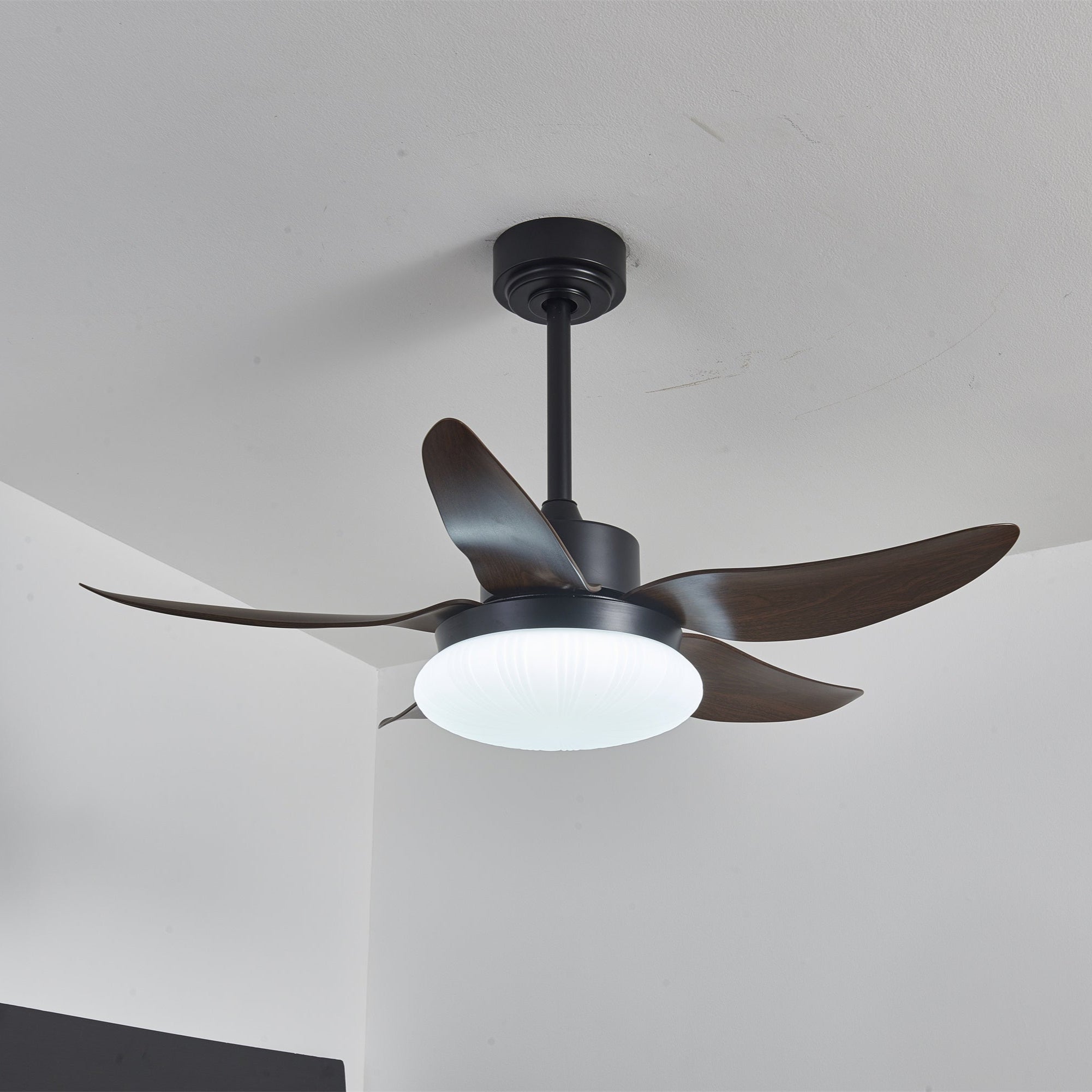 Amely LED Ceiling Fan