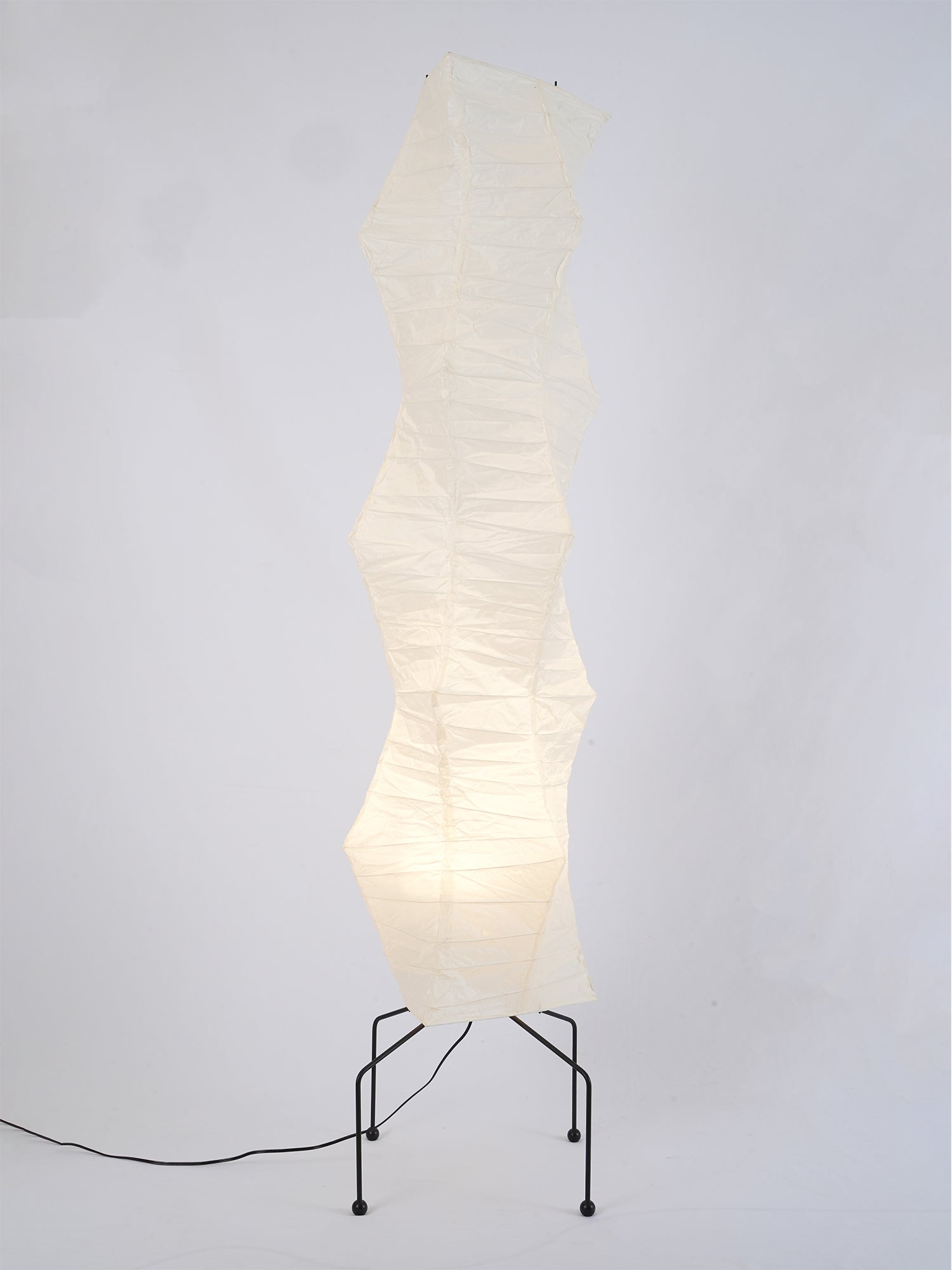 Yariaus Floor Lamp
