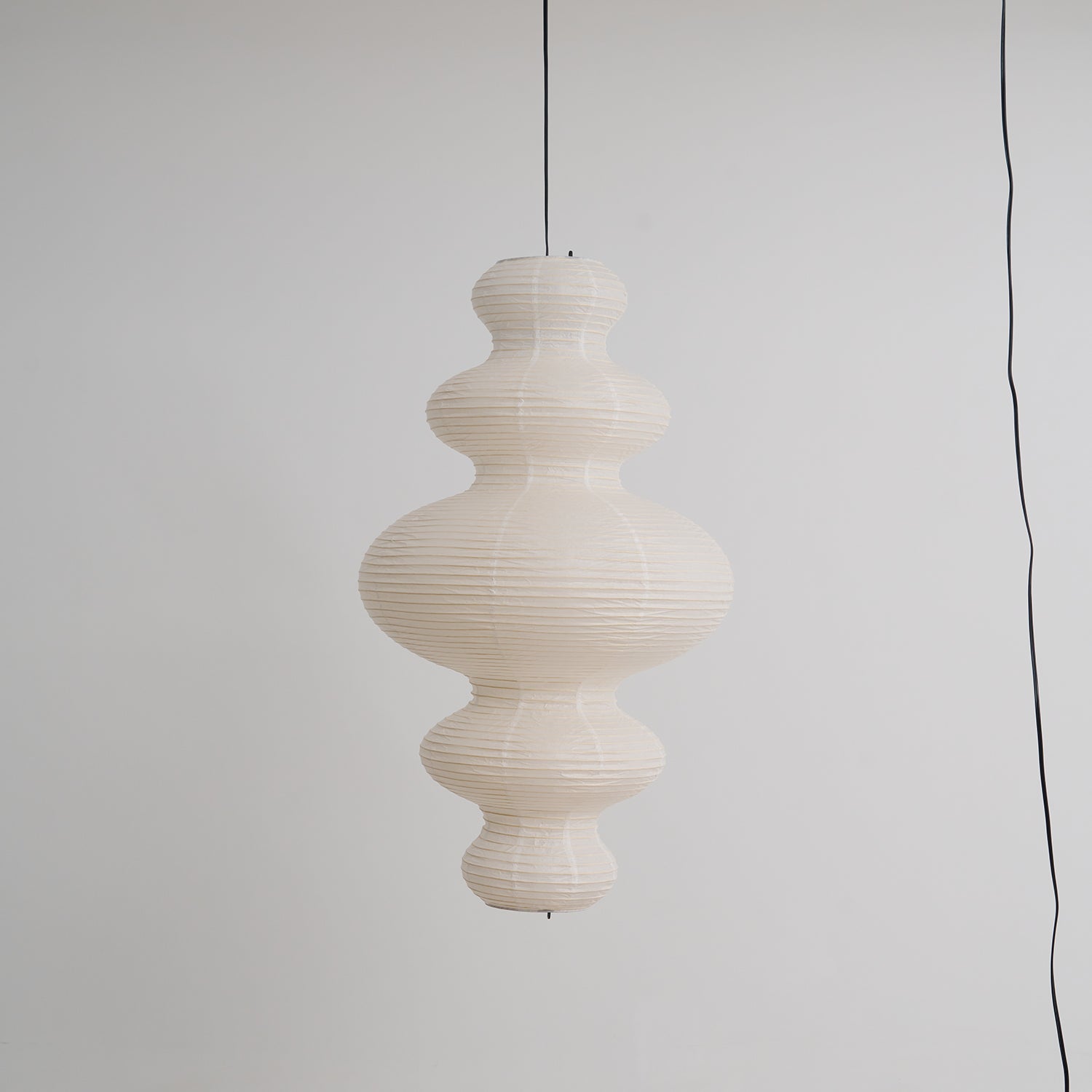 Loxoyn Plug In Pendant Light
