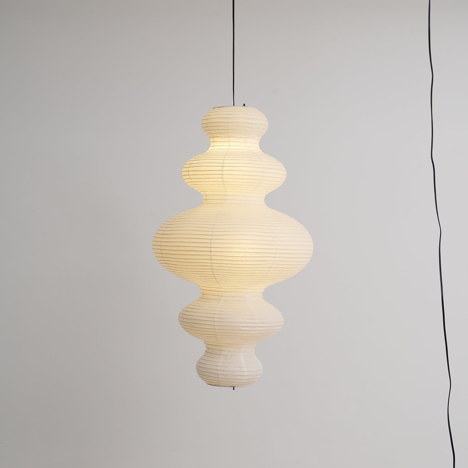 Loxoyn Plug In Pendant Light