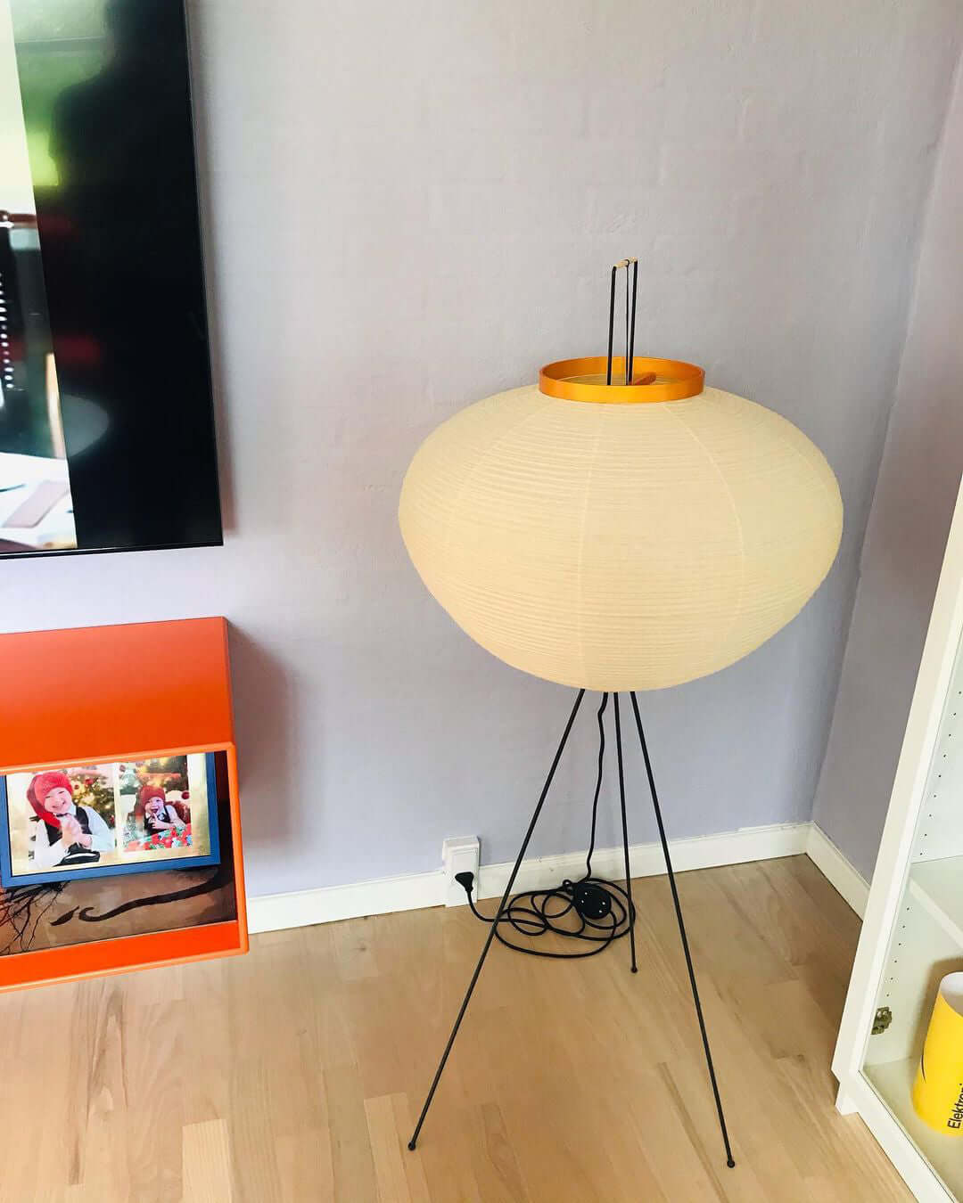 Yariaus Floor Lamp