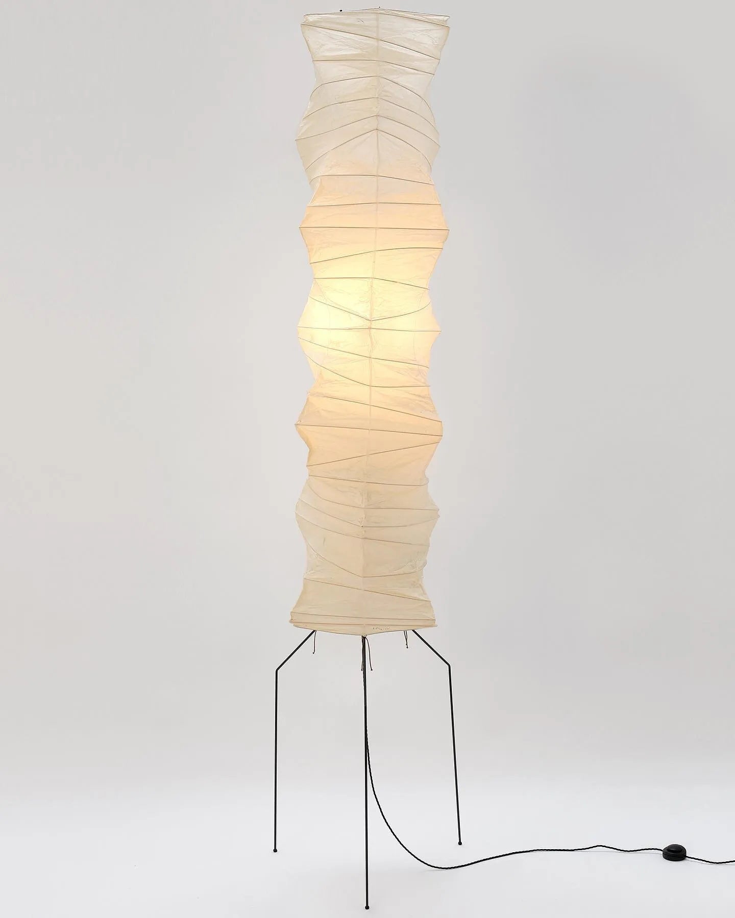 Yariaus Floor Lamp