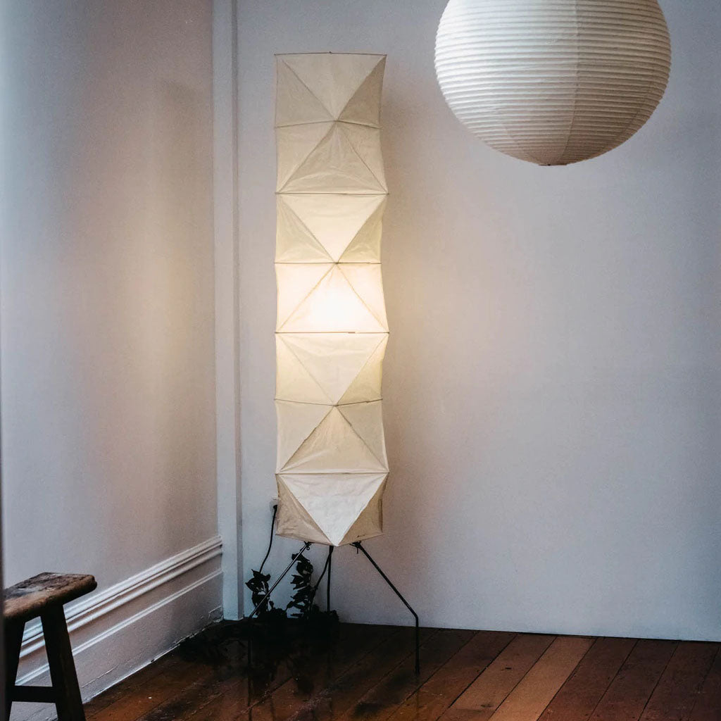 Yariaus Floor Lamp