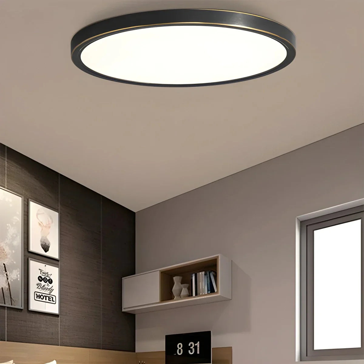 Disculon Ceiling Light