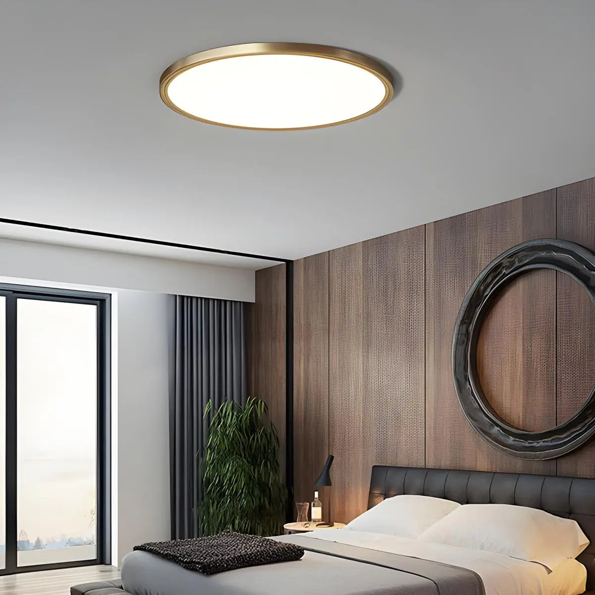Disculon Ceiling Light