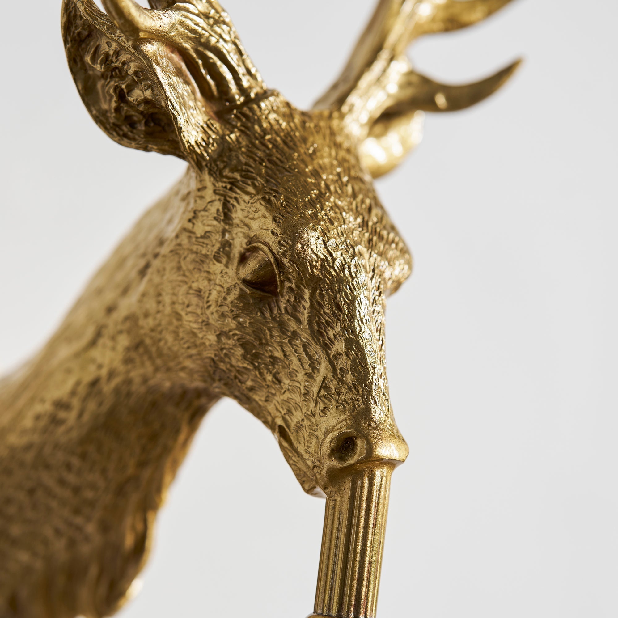 Ashve Stag Wall Light