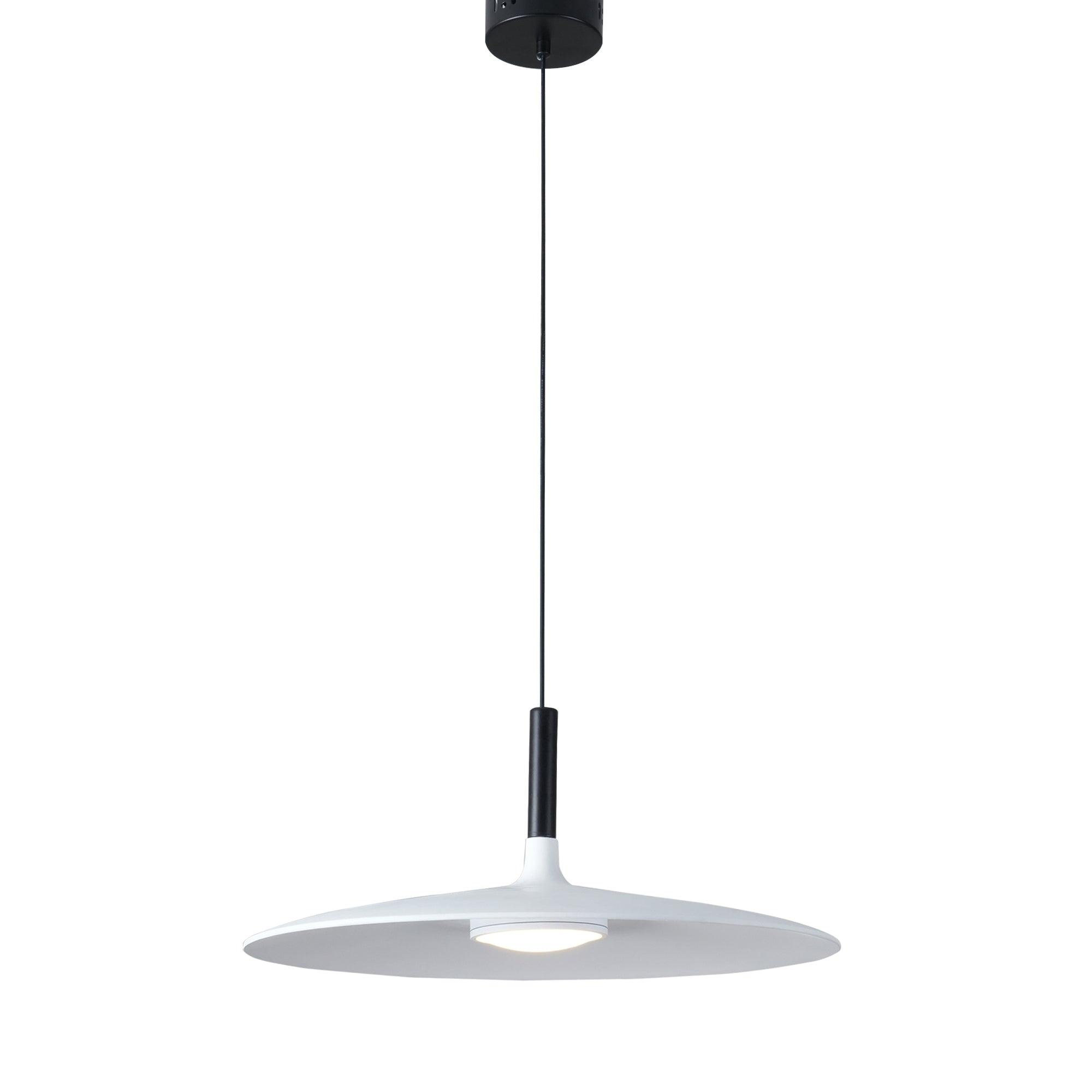 Alomb Metal Pendant Light