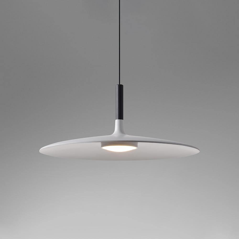 Alomb Metal Pendant Light