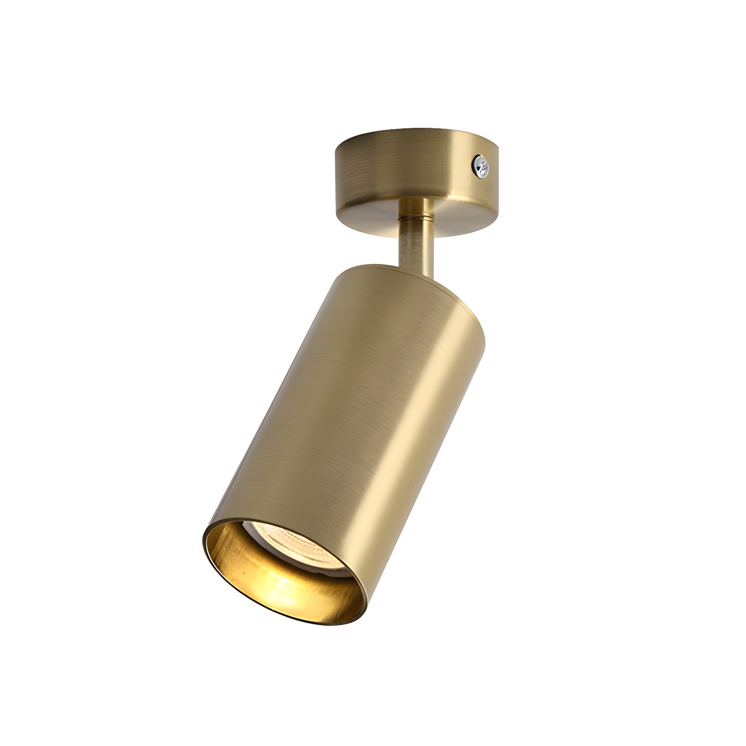 Alzo Spotlight Ceiling Light