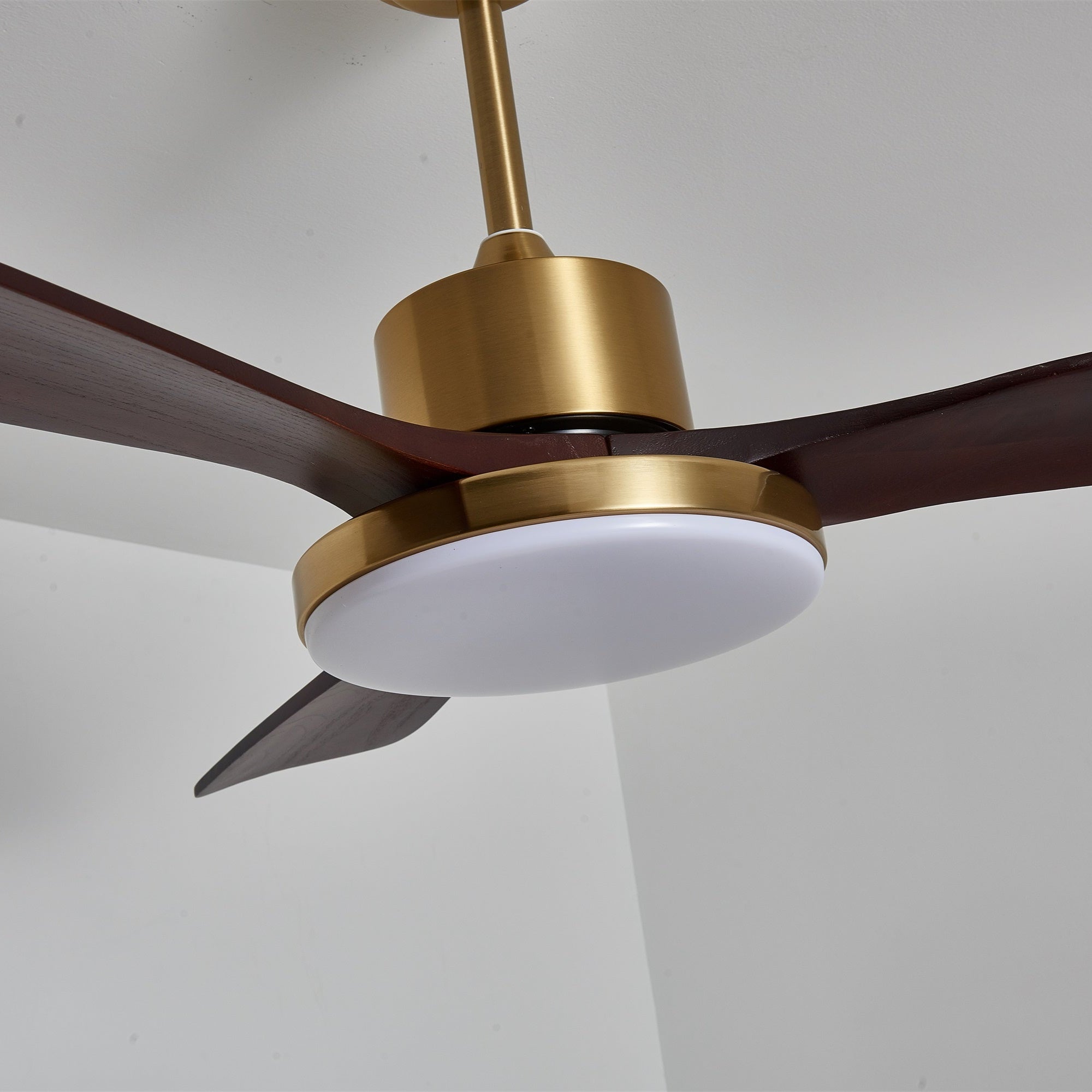 Dorelma LED Ceiling Fan