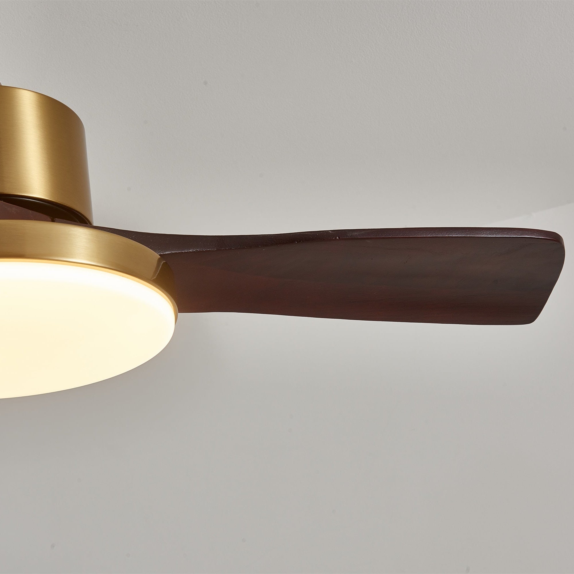 Dorelma LED Ceiling Fan