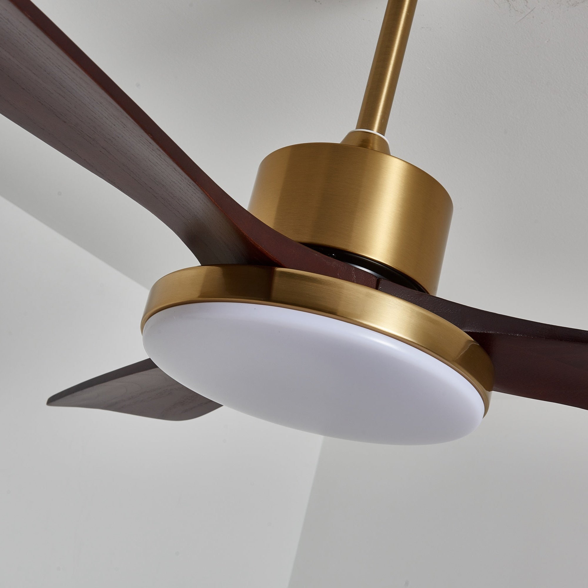 Dorelma LED Ceiling Fan
