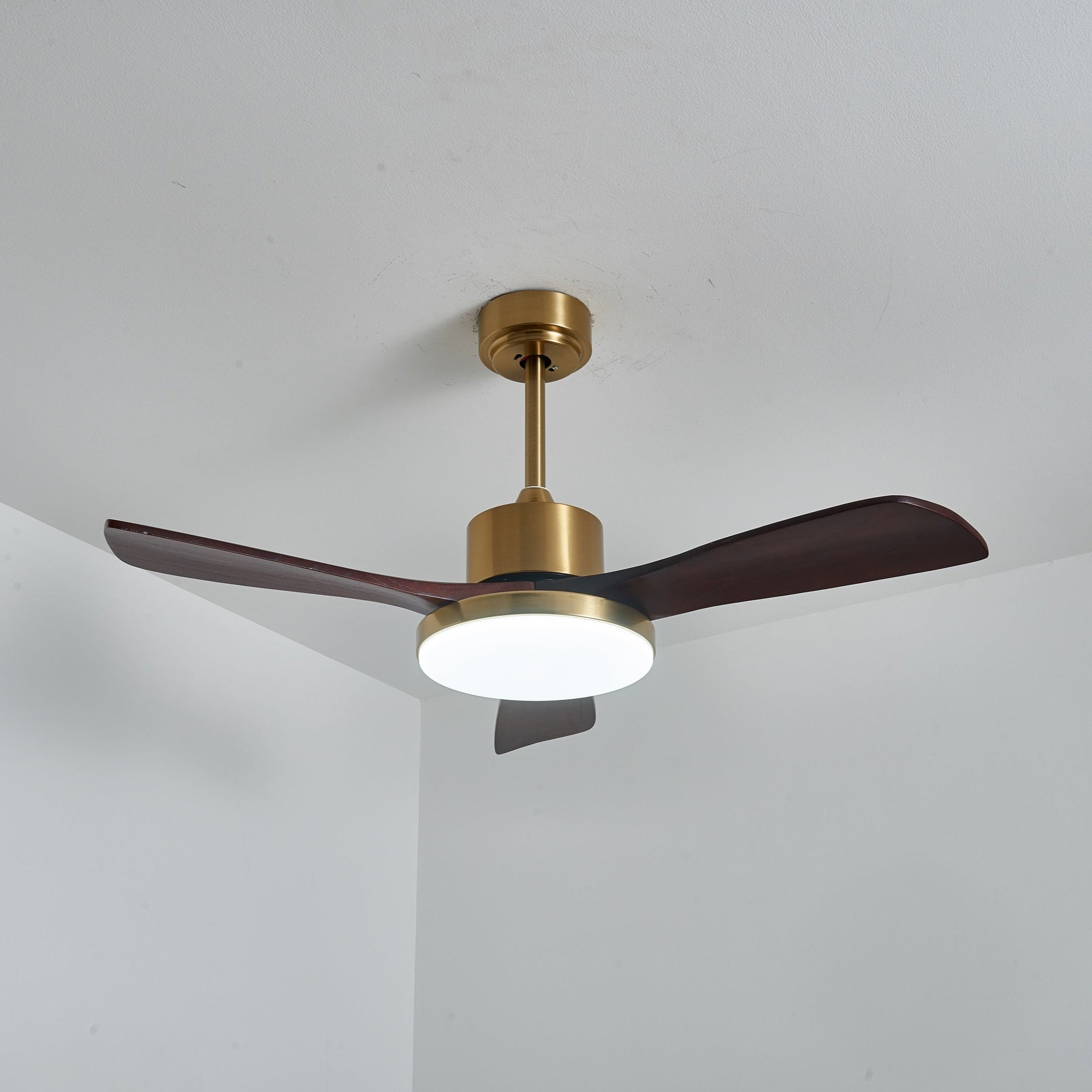 Dorelma LED Ceiling Fan