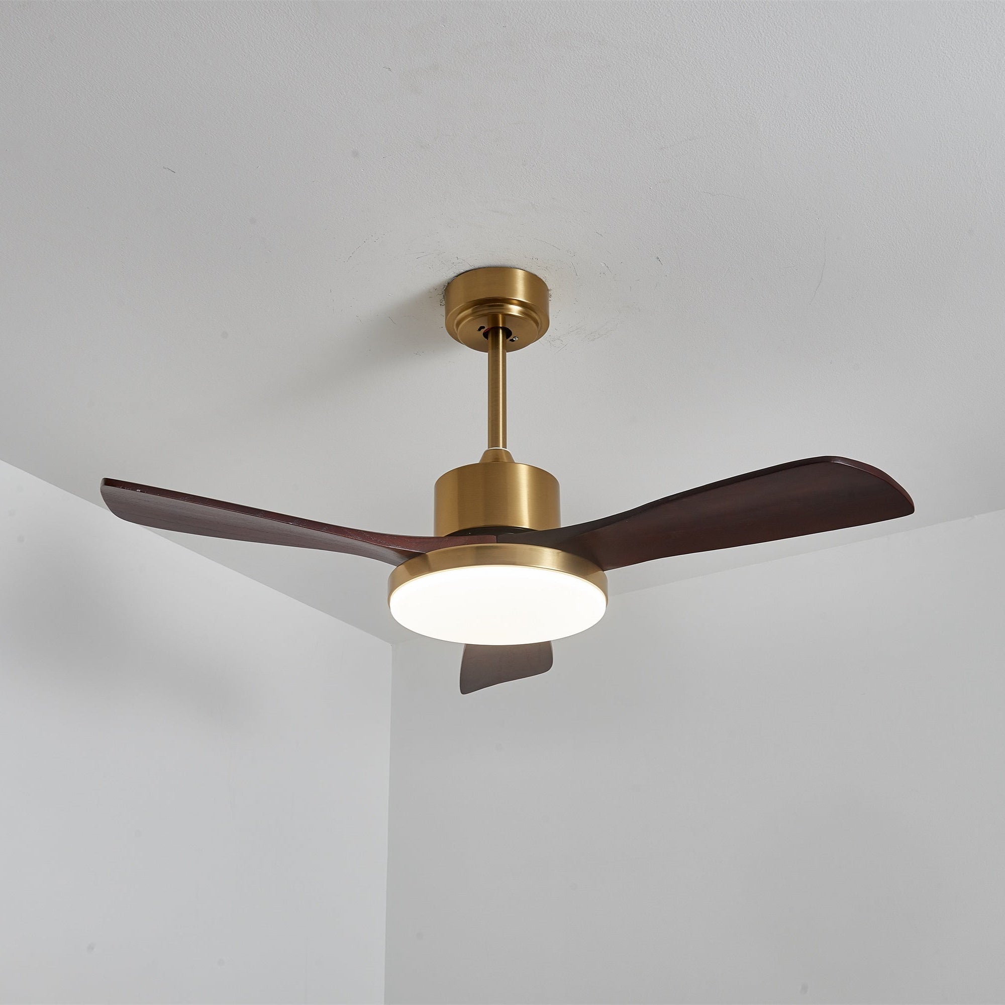 Dorelma LED Ceiling Fan