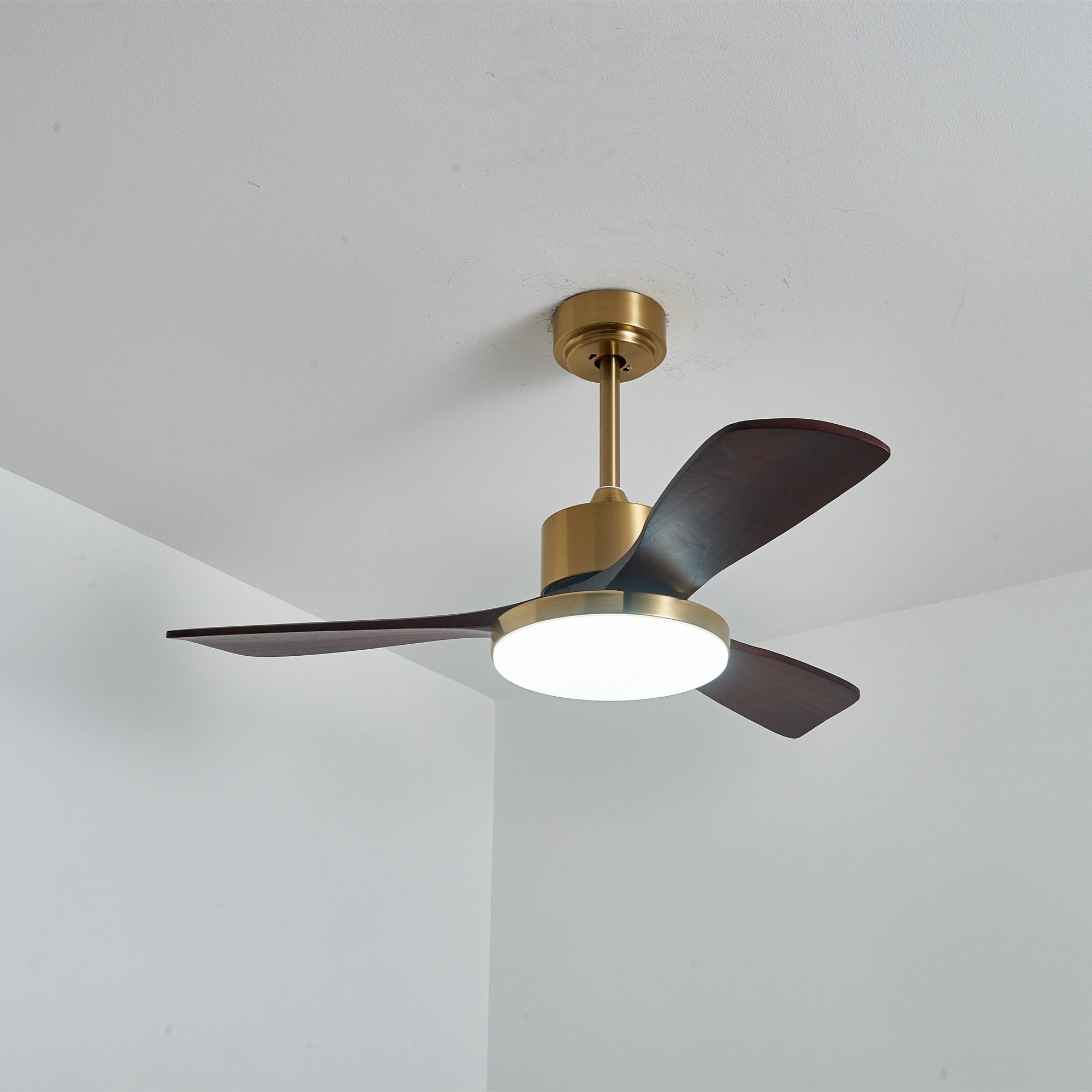 Dorelma LED Ceiling Fan