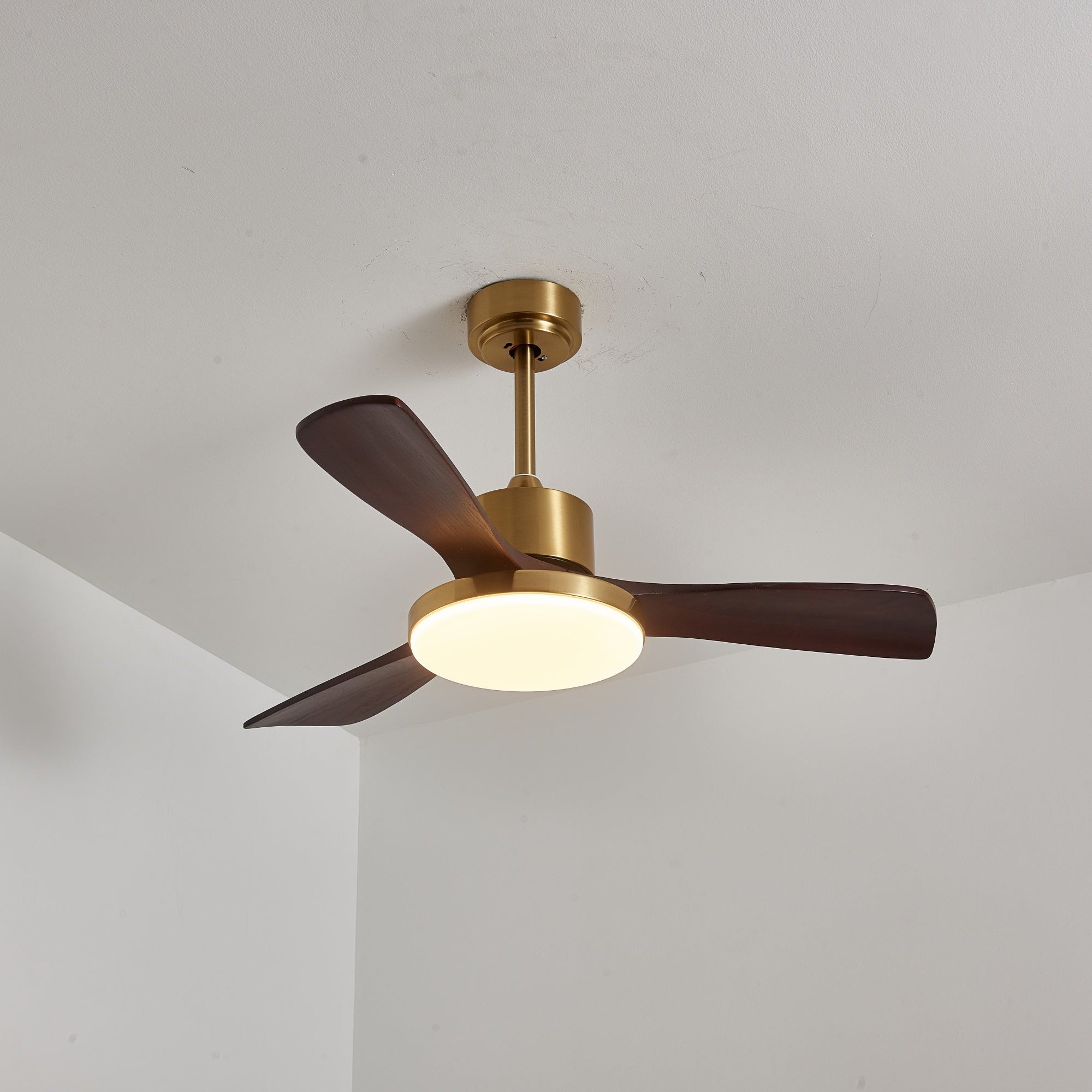 Dorelma LED Ceiling Fan
