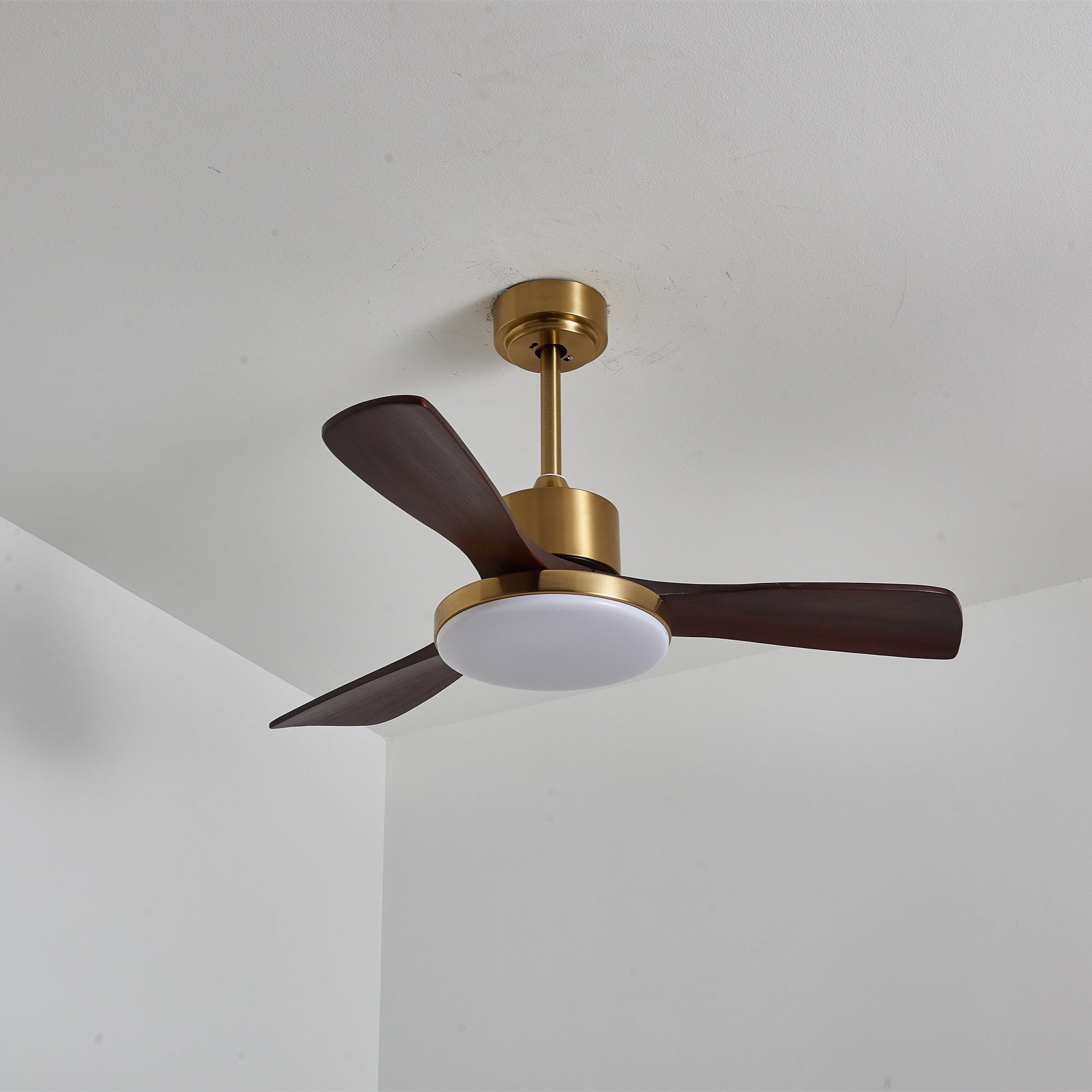 Dorelma LED Ceiling Fan