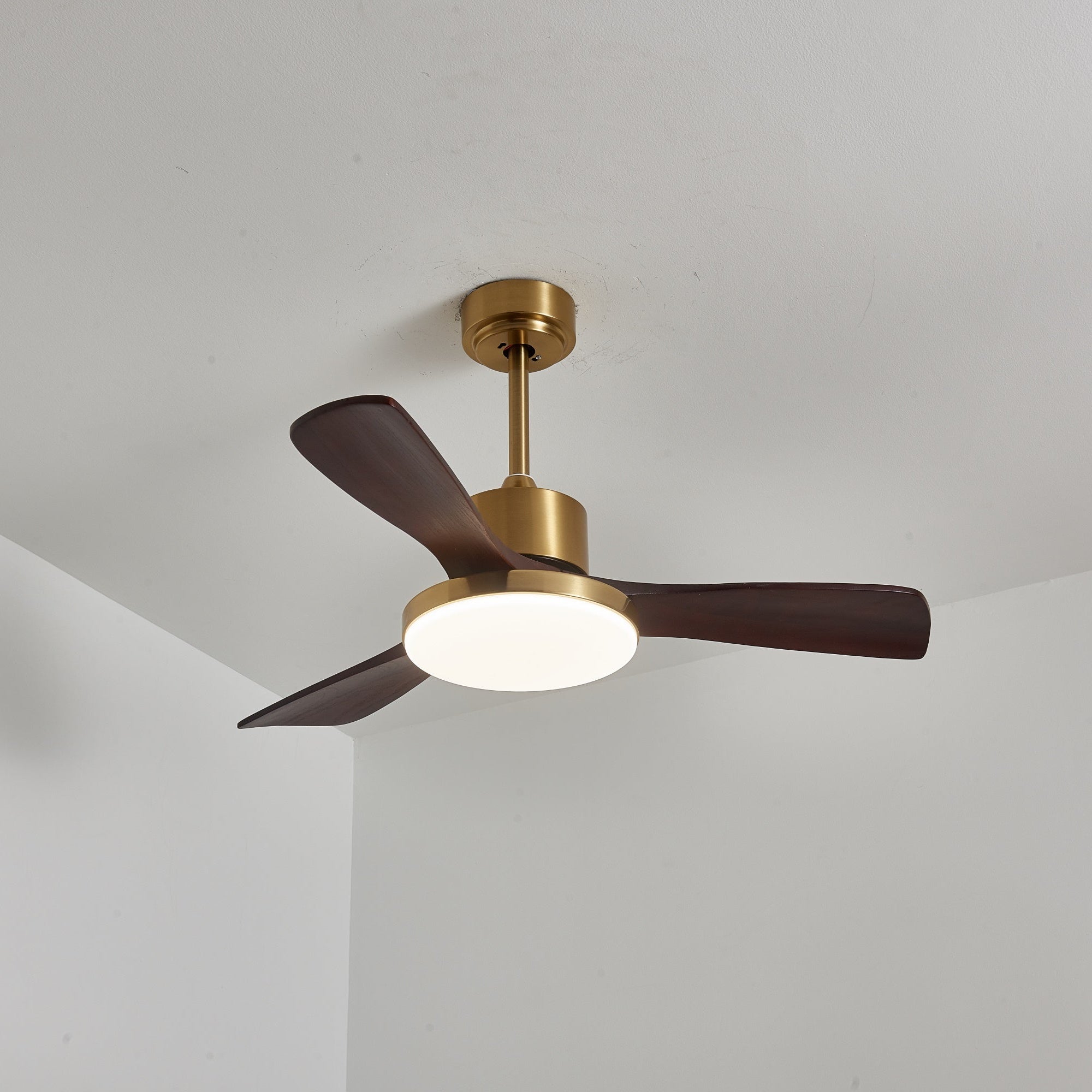 Dorelma LED Ceiling Fan