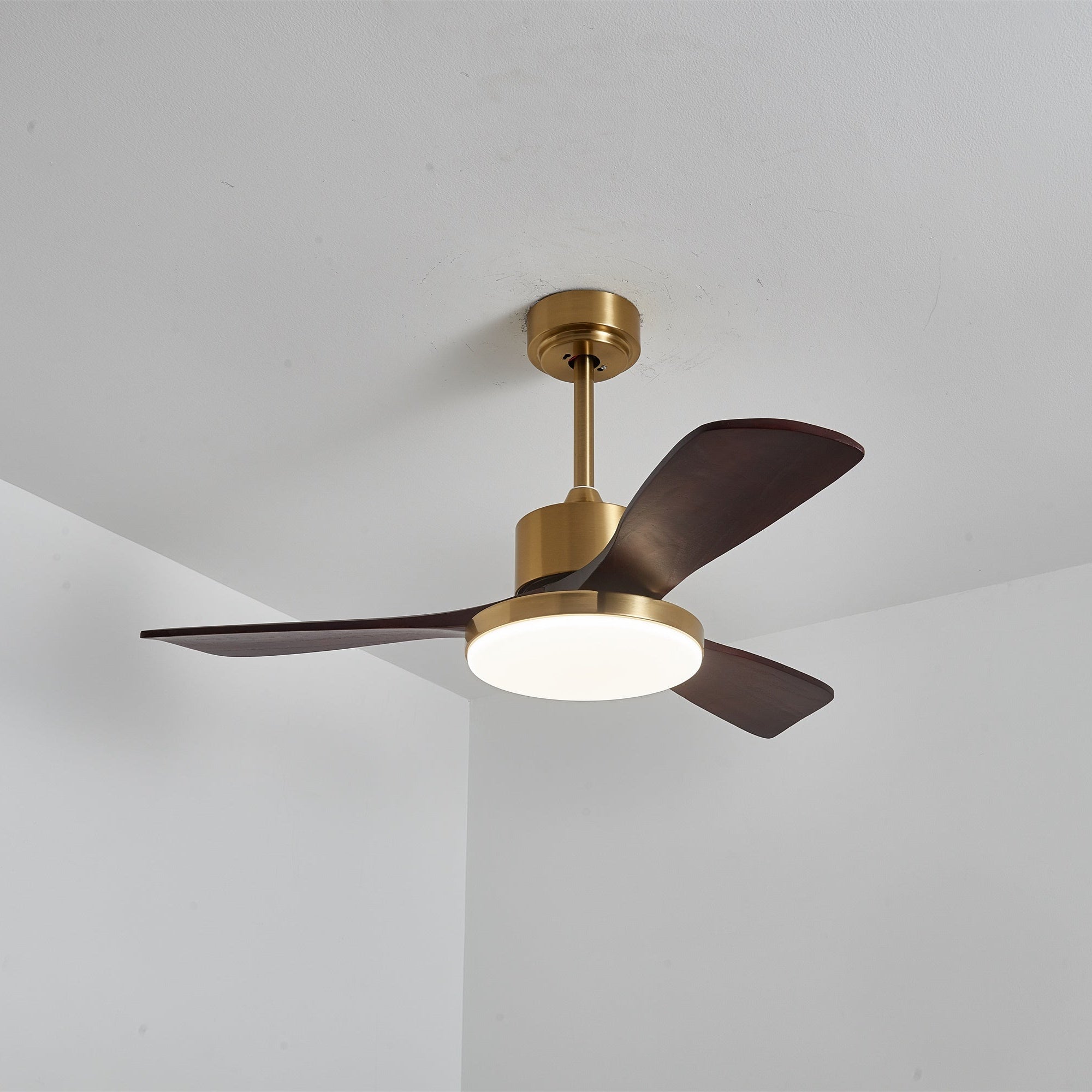 Dorelma LED Ceiling Fan