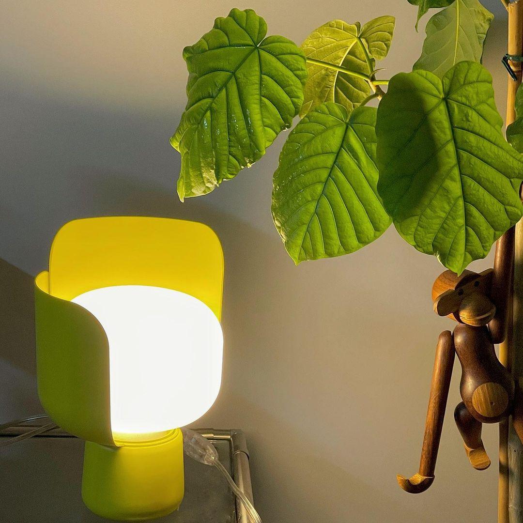 Tarima Table Lamp