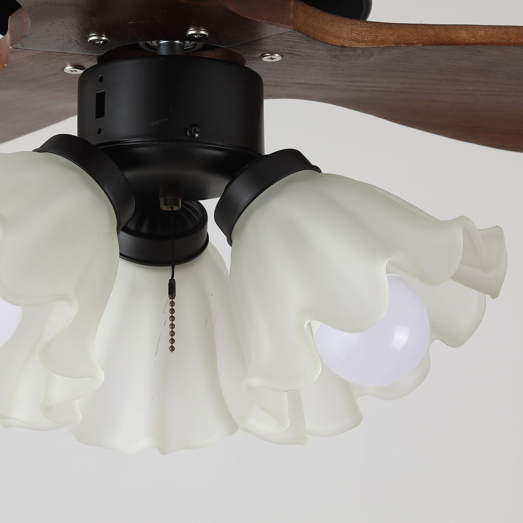 Tolsa Ceiling Fan