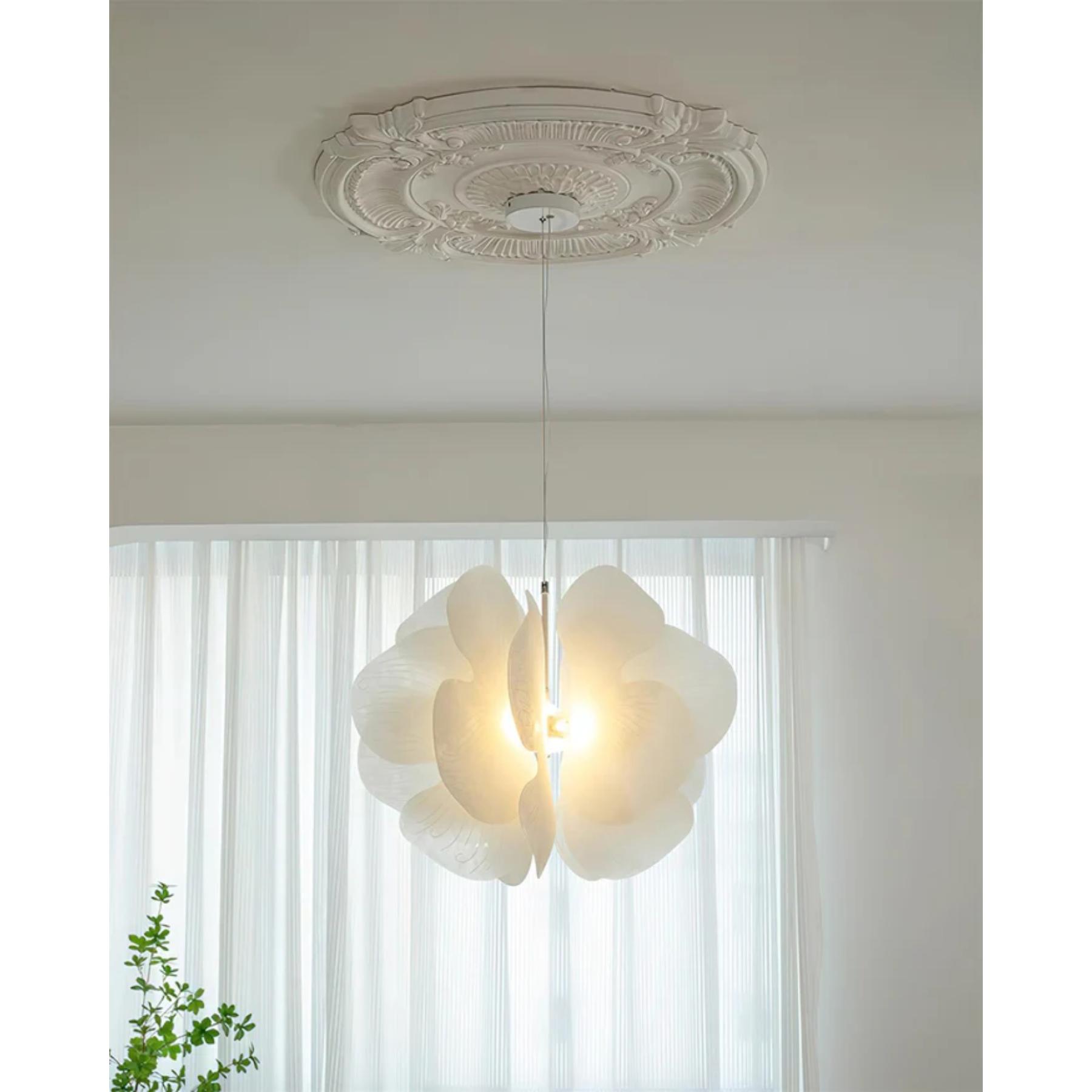 Bolife Pendant Light