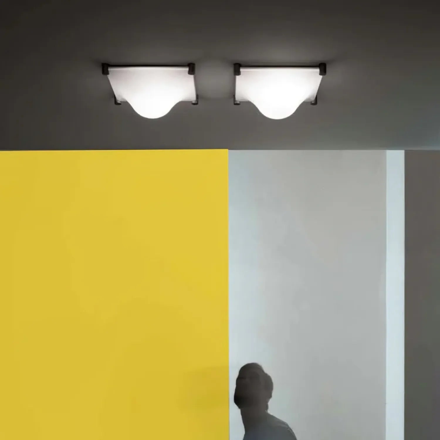 Cebolla Ceiling Light