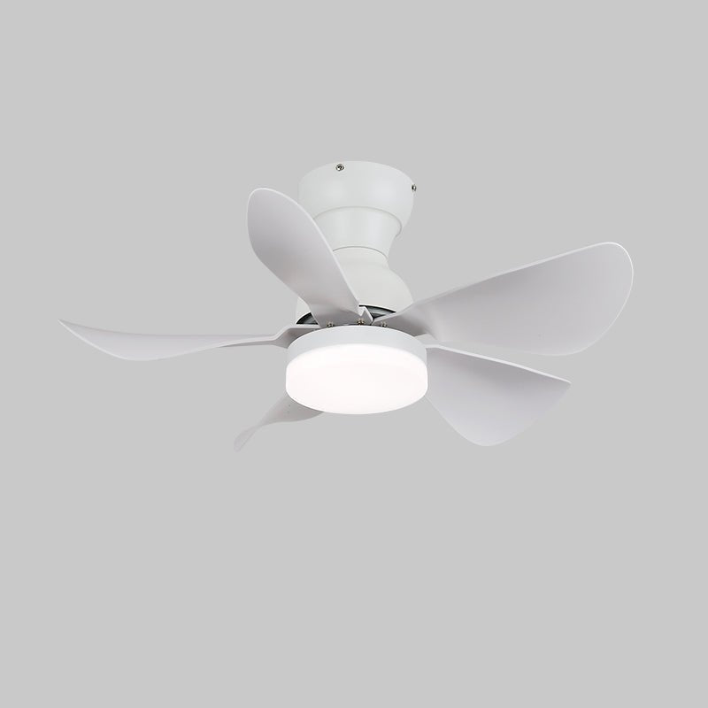 Lyrela LED Ceiling Fan