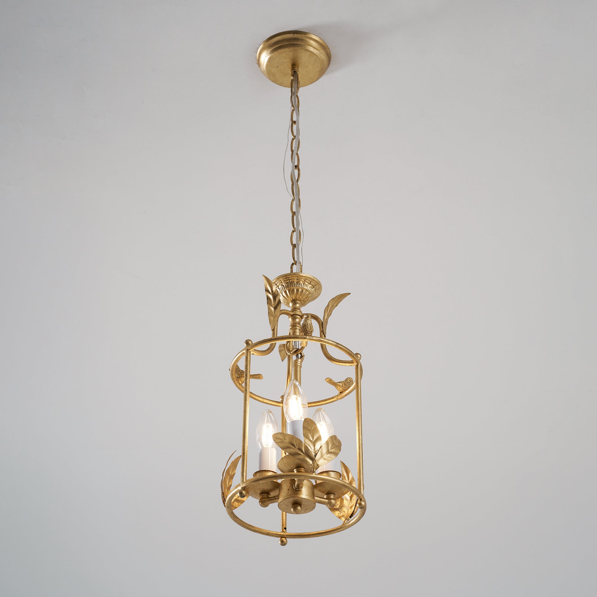 Zellcove Lantern Pendant Light