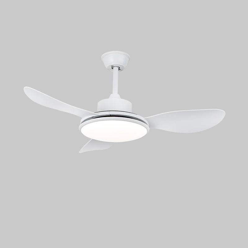 Bynler Ceiling Fan