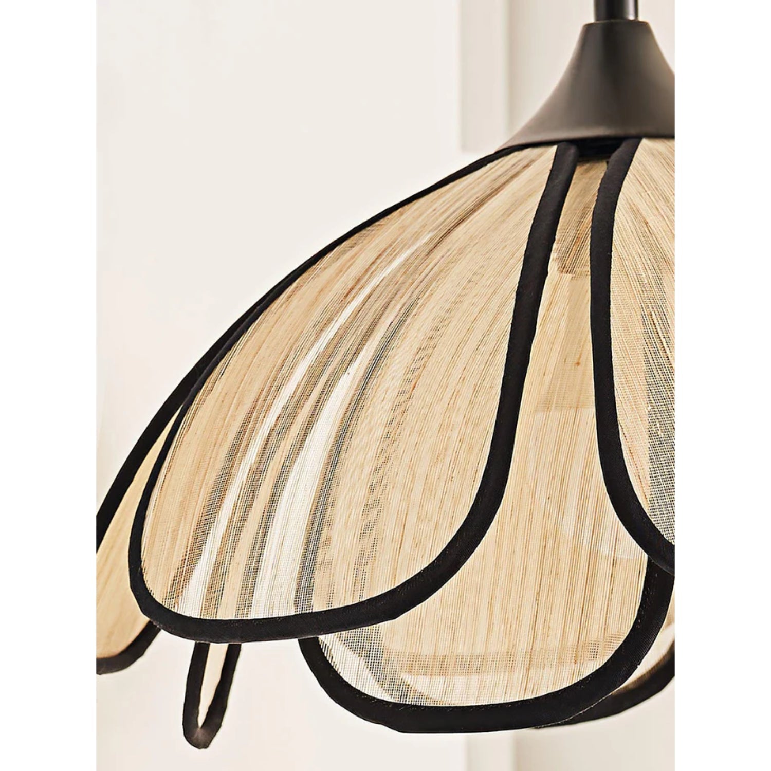 Mozy Flower Wall Light
