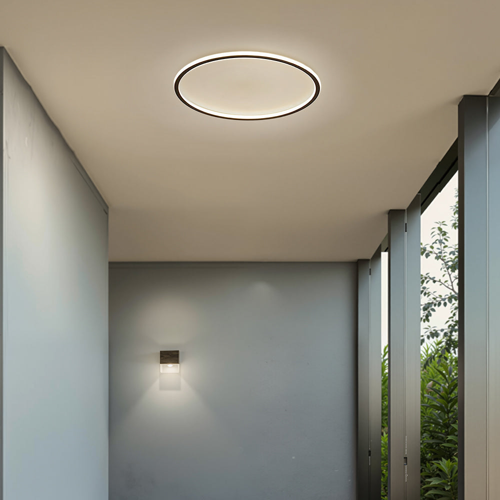 Circull Ceiling Light