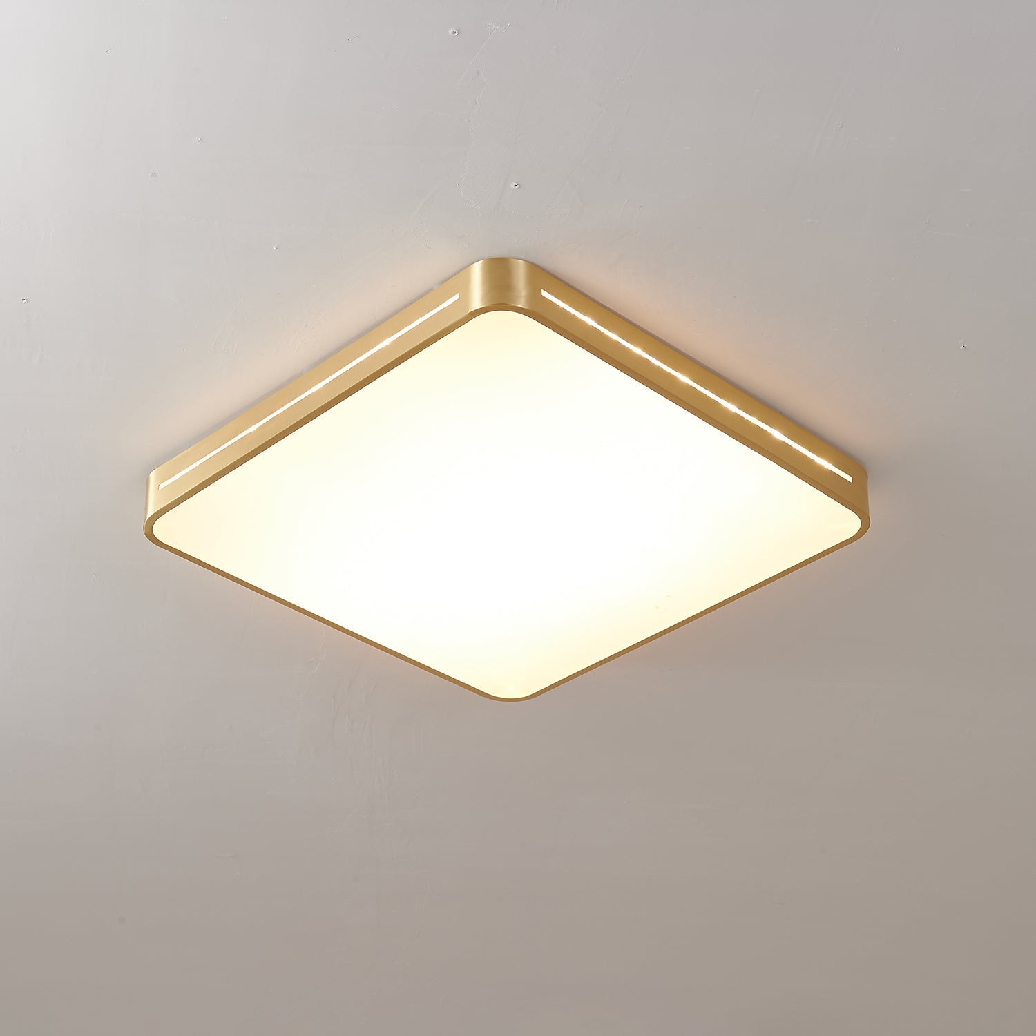 Coalema Ceiling Light