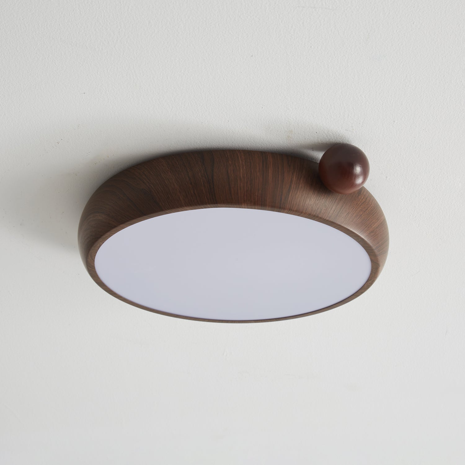 Lecaniva Ceiling Light